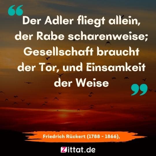 Der Adler fliegt allein, der Rabe scharenweise; Gesellschaft braucht der Tor, und Einsamkeit der Weise 