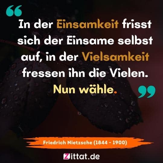 In der Einsamkeit sprüche  sich der Einsame selbst auf, in der Vielsamkeit fressen ihn die Vielen. Nun wähle.