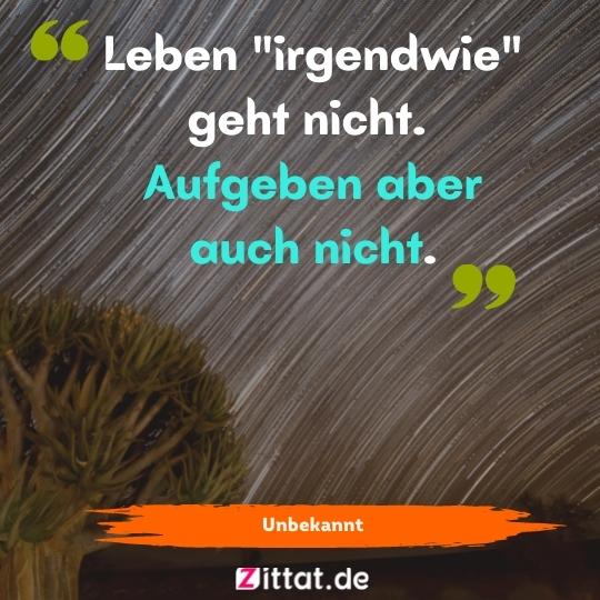 schöne sprüche nachdenken anregen, 
 Leben "irgendwie" geht nicht. Aufgeben aber auch nicht.